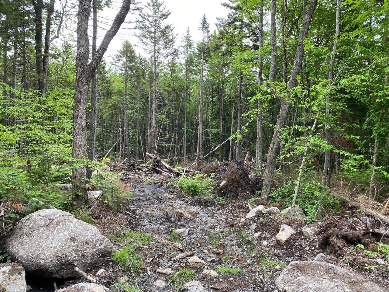 16 Grant Road Washington, NH 03280 - Photo 10 of 12 Gallery Image 10