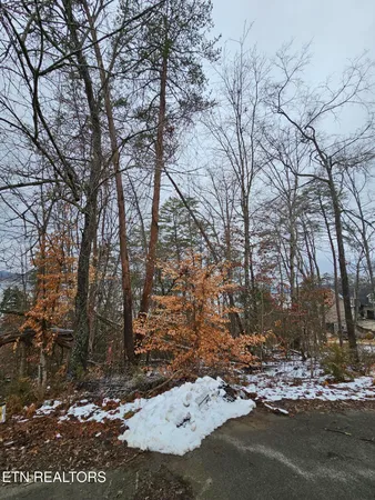 $199,900 | Kammann Cove, Baneberry, TN 37890