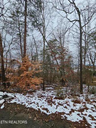$199,900 | Kammann Cove, Baneberry, TN 37890