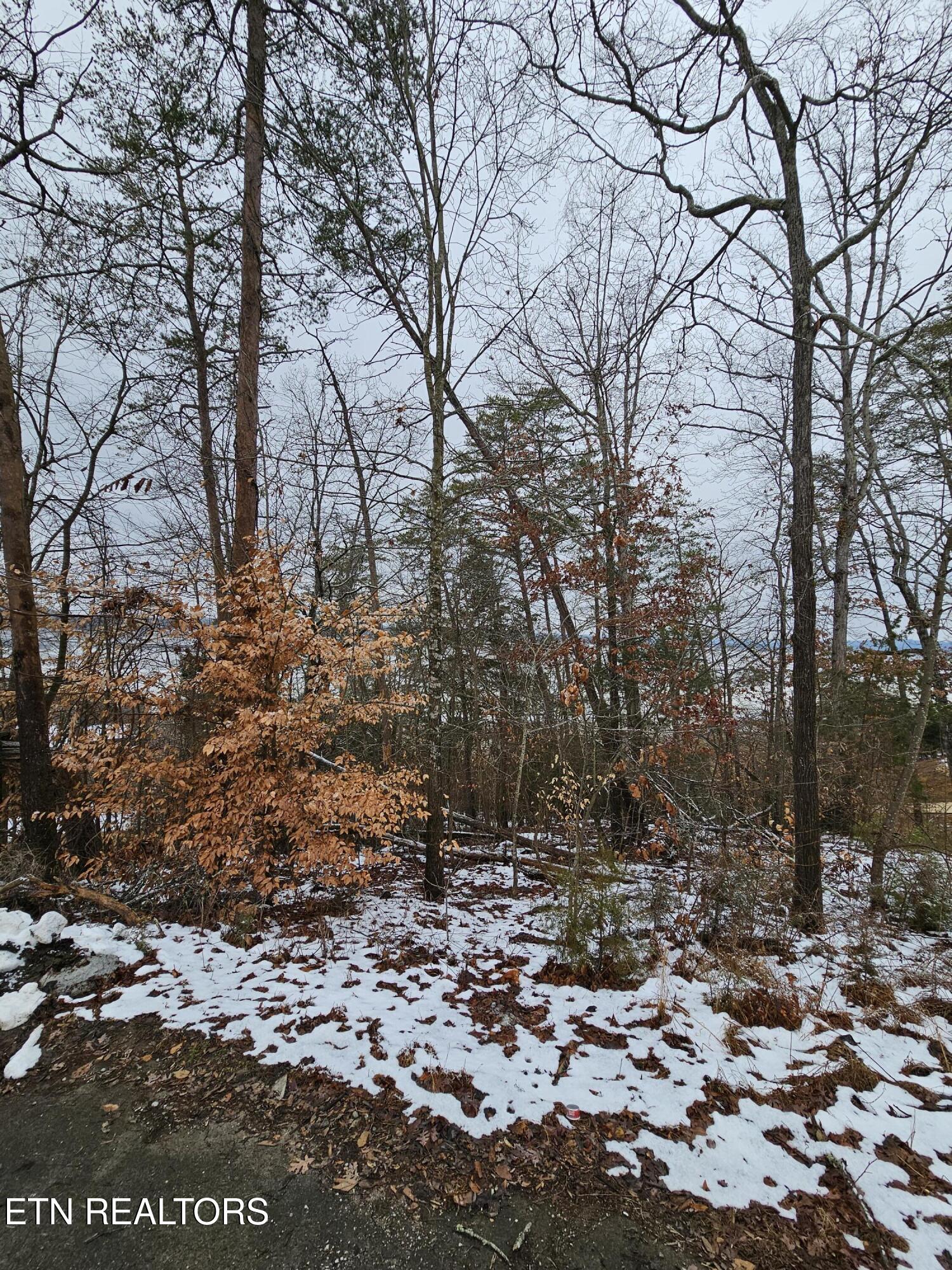 Kammann Cove Baneberry, TN 37890 - Photo 2 of 5 20260205_122853