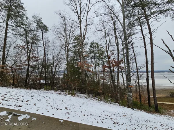 $199,900 | Kammann Cove, Baneberry, TN 37890