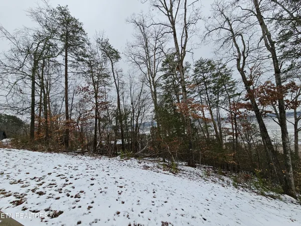 $199,900 | Kammann Cove, Baneberry, TN 37890