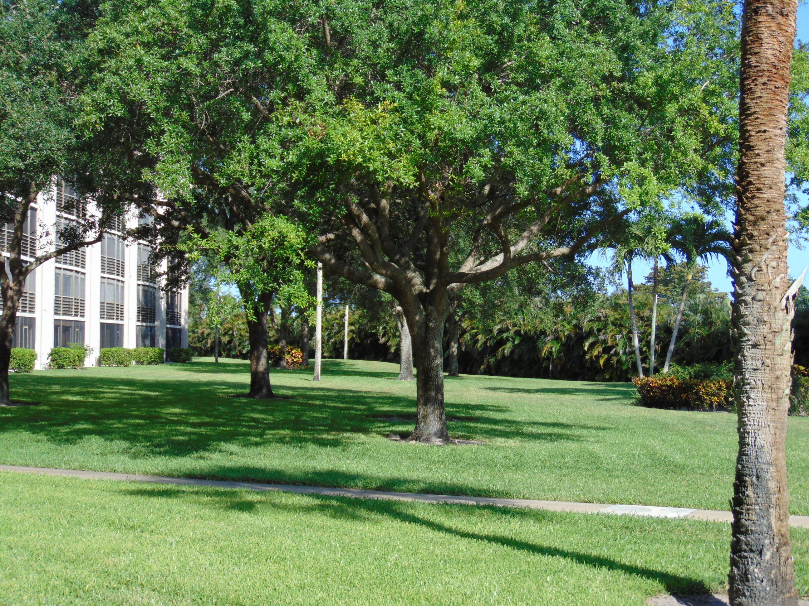 9220 Southwest 14th Street, Unit 3103 Boca Raton, FL 33428 - Photo 35 of 58 a grassy field with trees in the background
