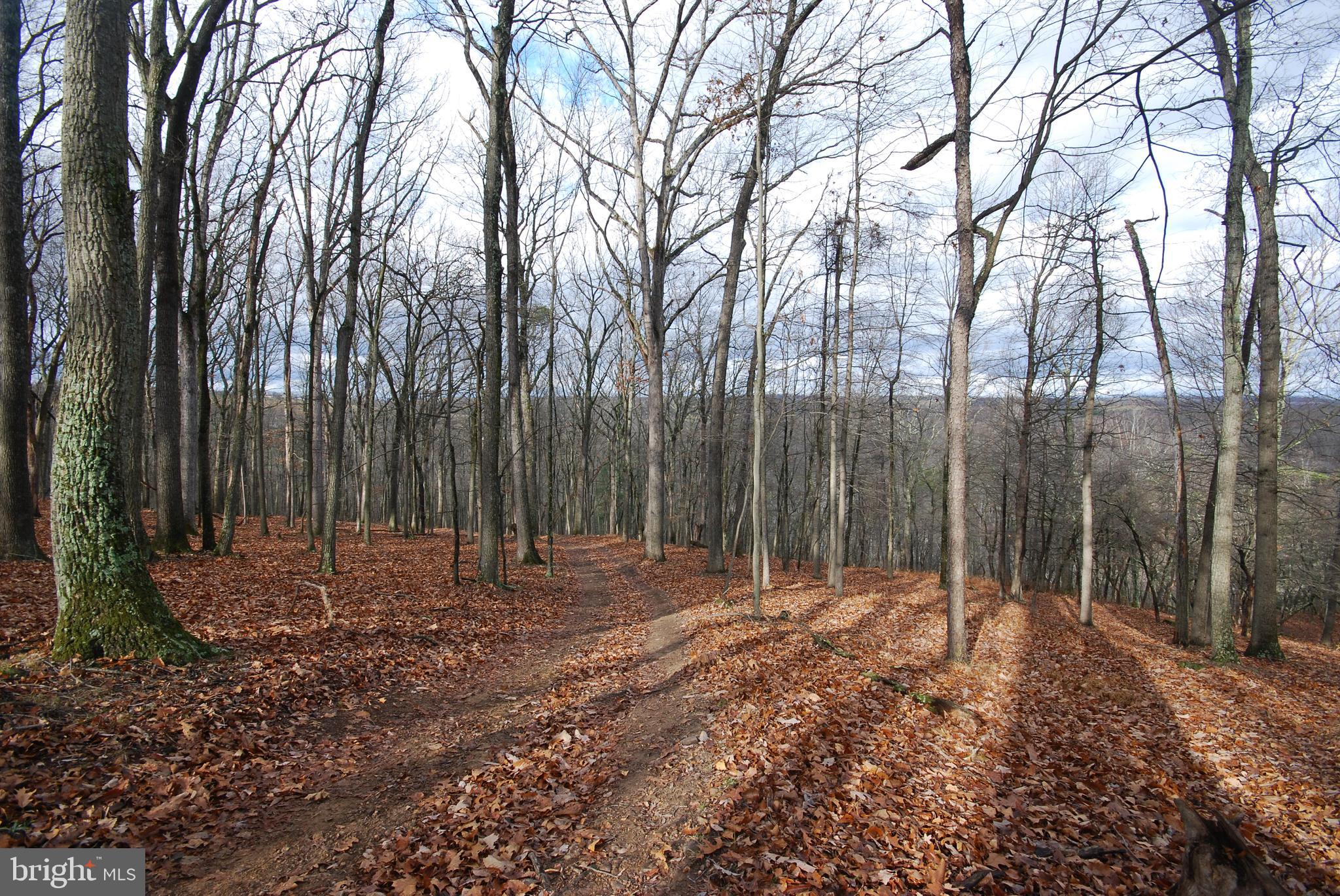Lot 70-71 Mill Mountain Road Romney, WV 26757 - Photo 25 of 52