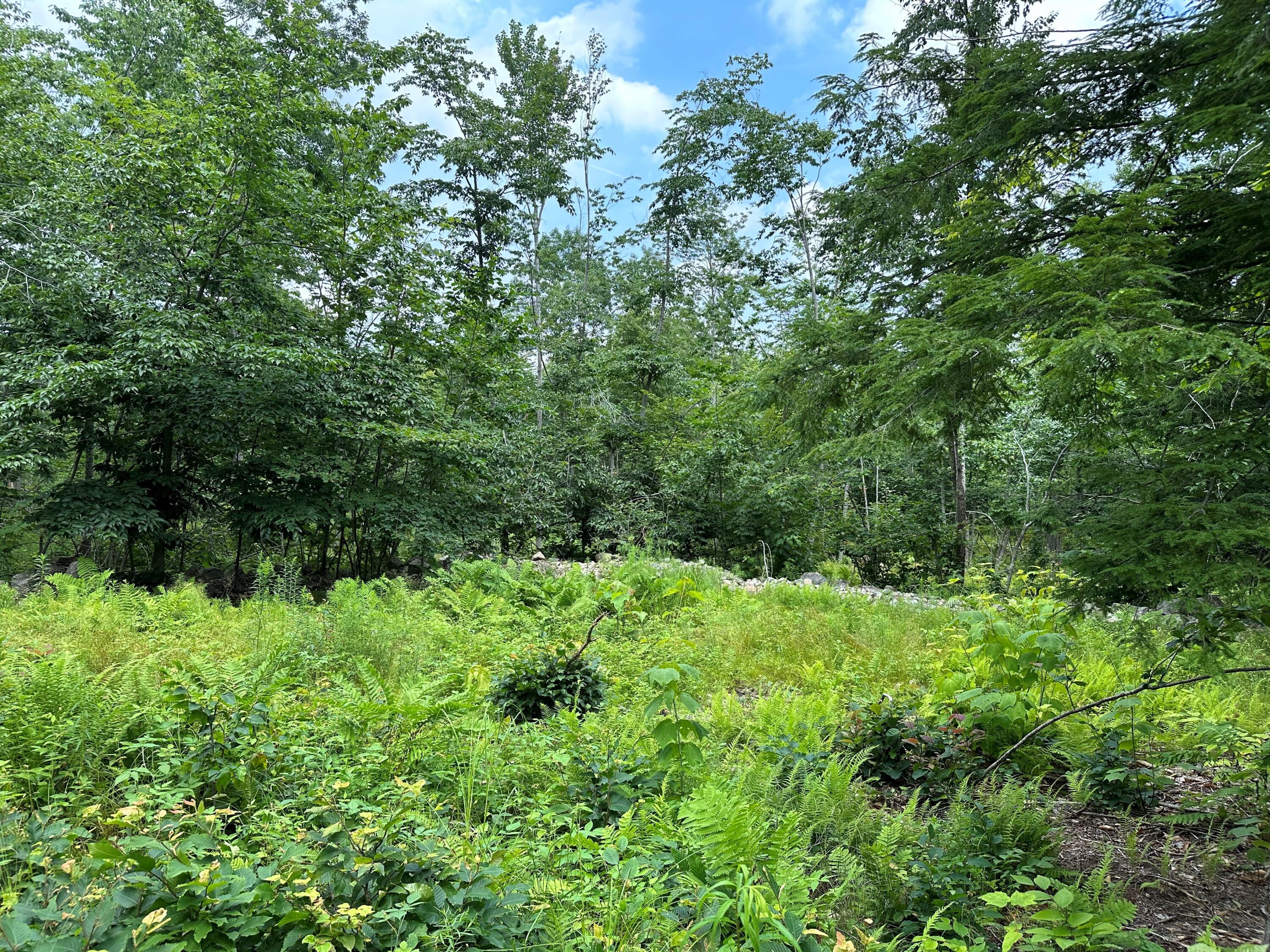 Lot 6-6 Hio Ridge Road Bridgton, ME 04009 - Photo 4 of 8 Photo 2