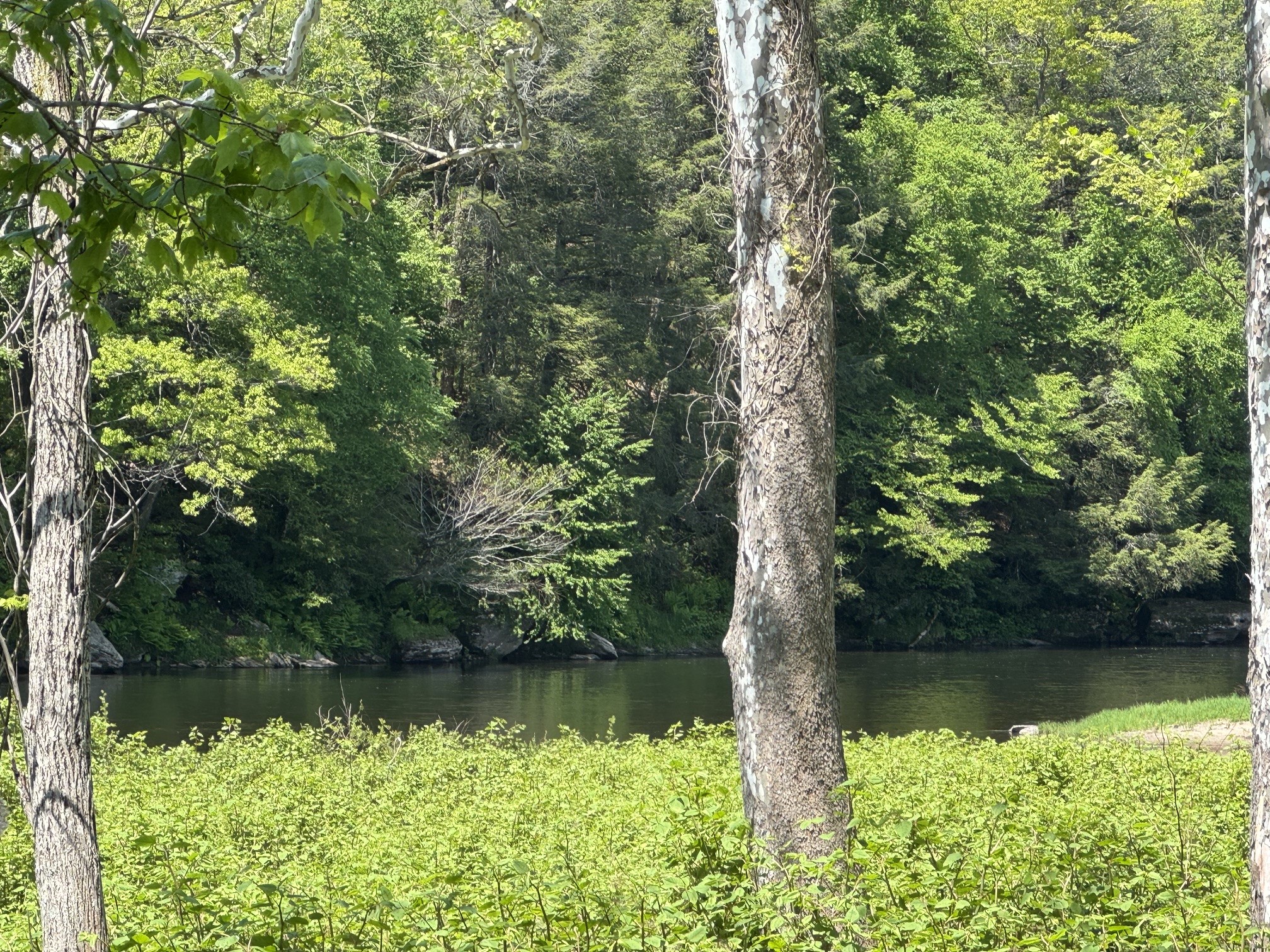 200 Peters Road Hancock, NY 13783 - Photo 14 of 45