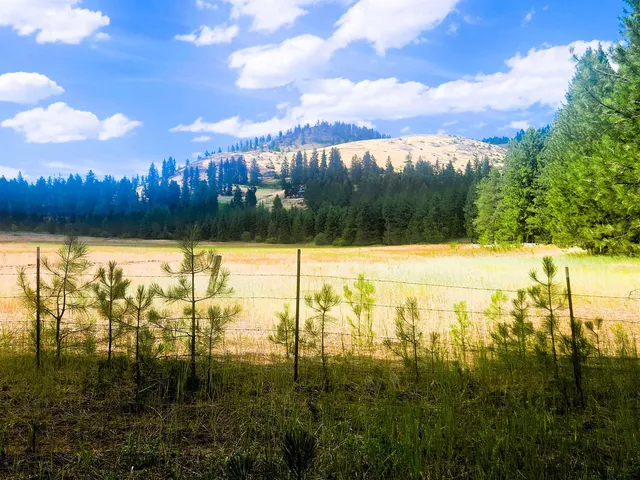 $129,000 | 34-xx Northport Flat Creek Road, Kettle Falls, WA 99141