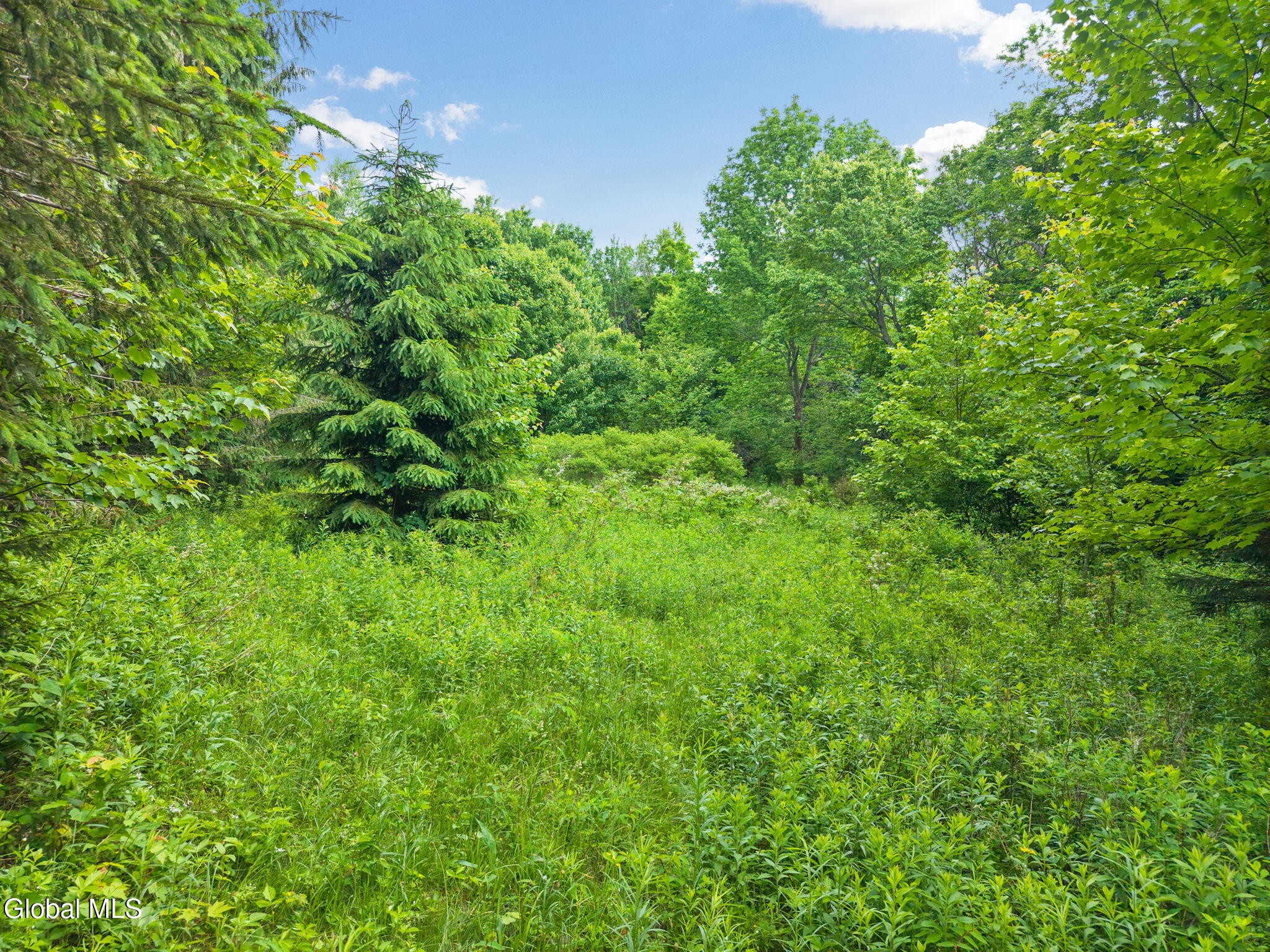615 Arabia Road Summit, NY 12175 - Photo 46 of 51 46-615ArabiaRd_46