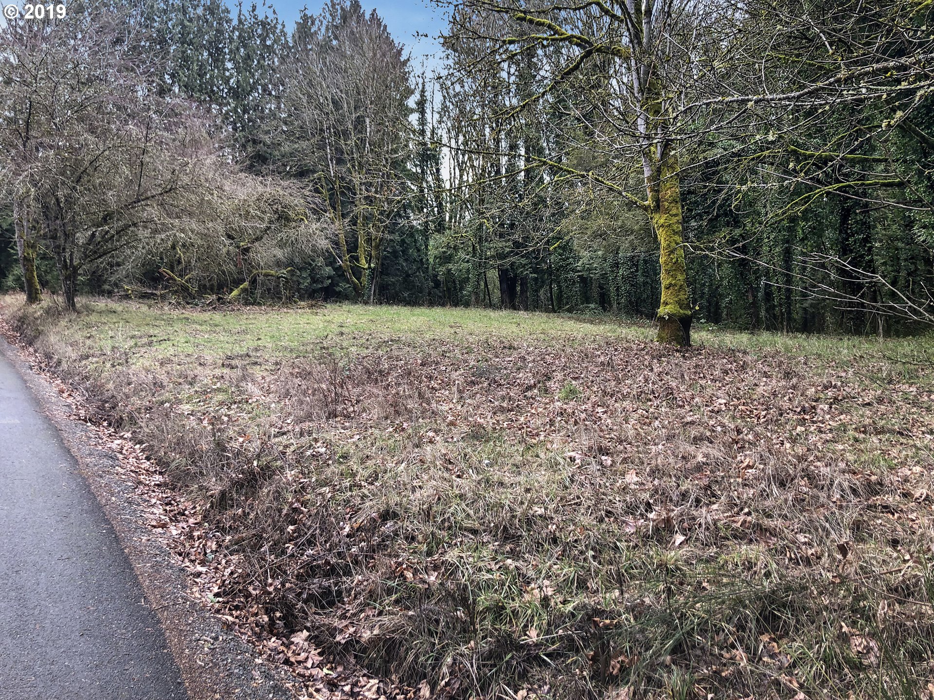 0 Southwest Prosperity Park Road, Unit 19 Tualatin, OR 97062 - Photo 1 of 13 Gallery Image 1