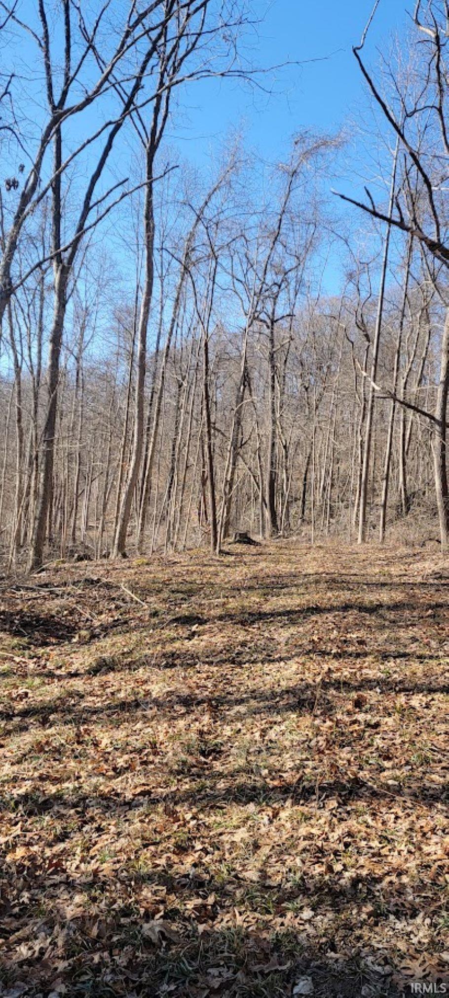 0 South Log Creek Road Paoli, IN 47454 - Photo 12 of 20 Gallery Image 12