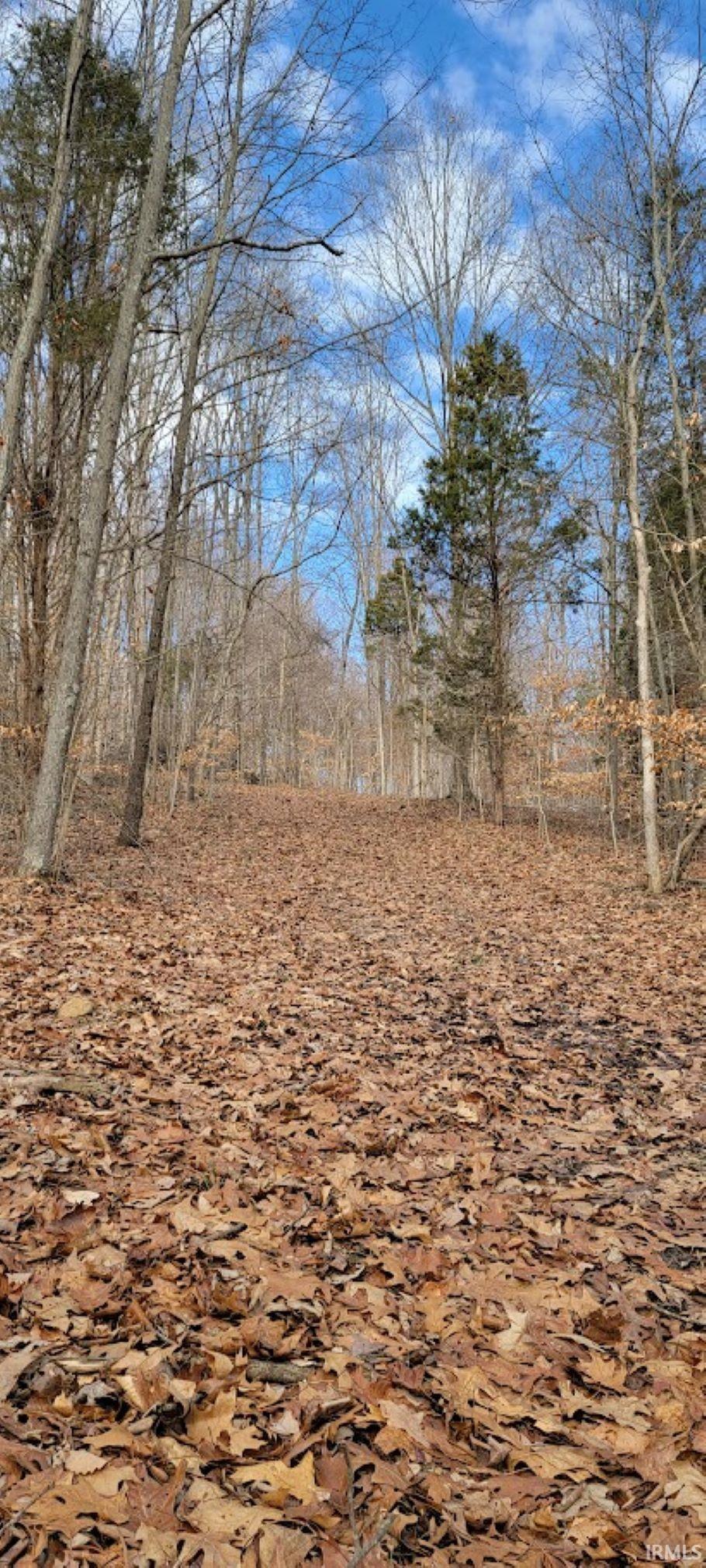 0 South Log Creek Road Paoli, IN 47454 - Photo 5 of 20 Gallery Image 5