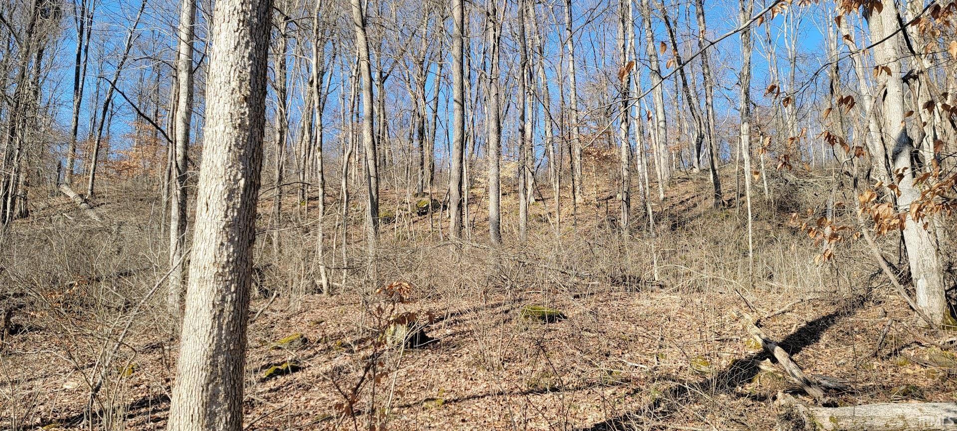 0 South Log Creek Road Paoli, IN 47454 - Photo 6 of 20 Gallery Image 6