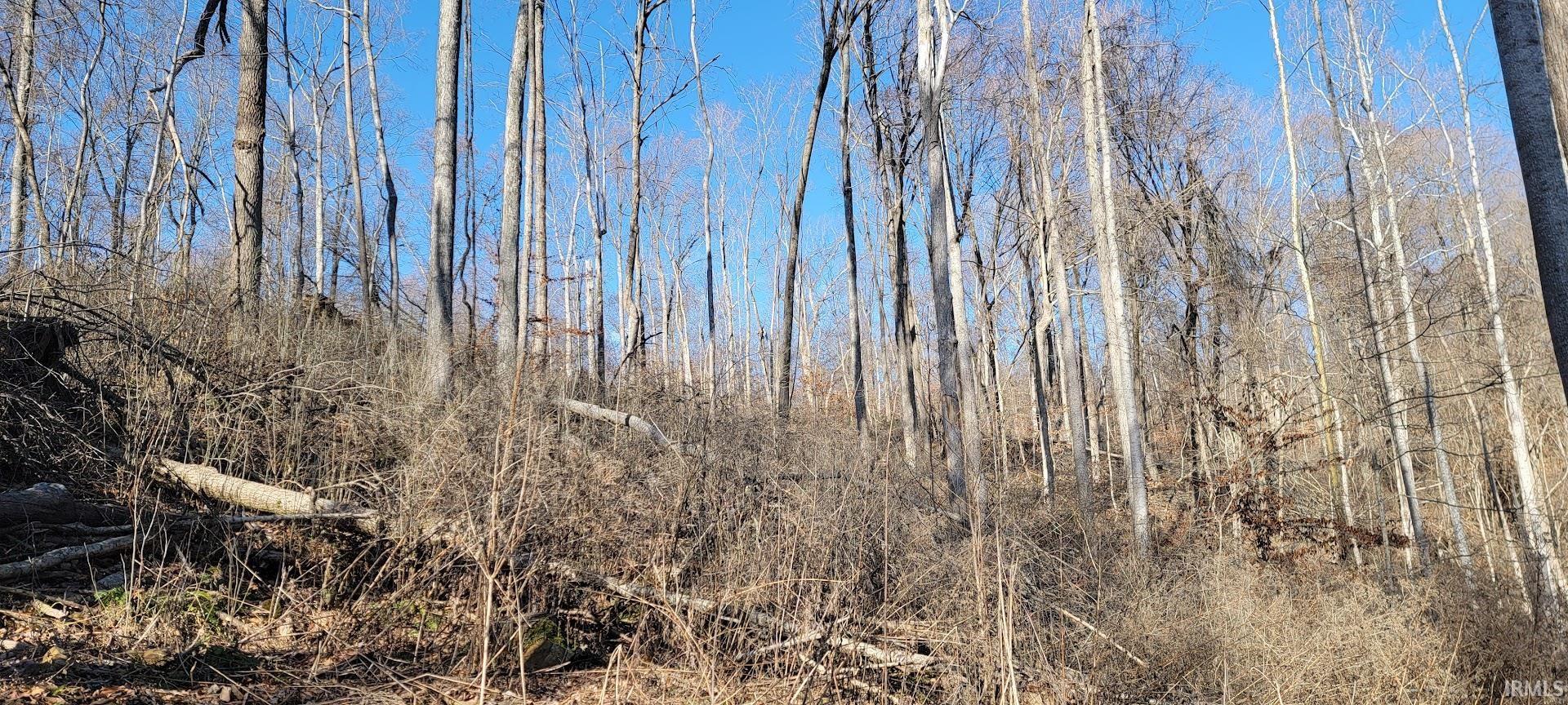 0 South Log Creek Road Paoli, IN 47454 - Photo 7 of 20 Gallery Image 7