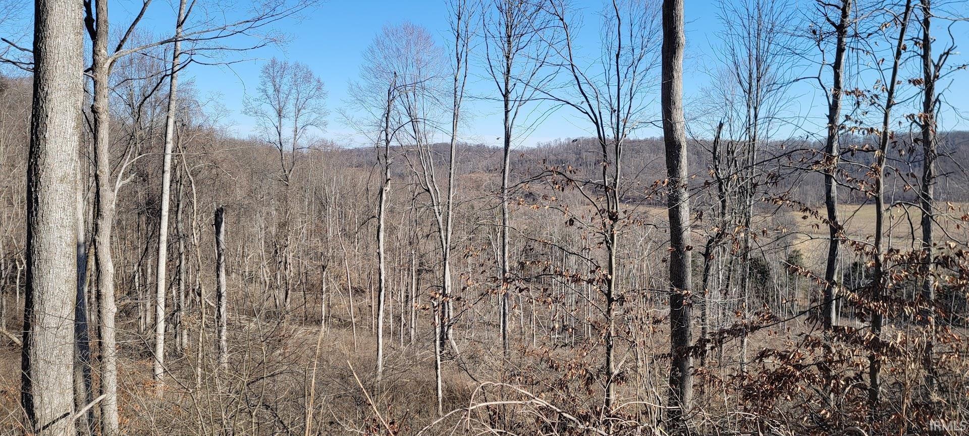 0 South Log Creek Road Paoli, IN 47454 - Photo 8 of 20 Gallery Image 8