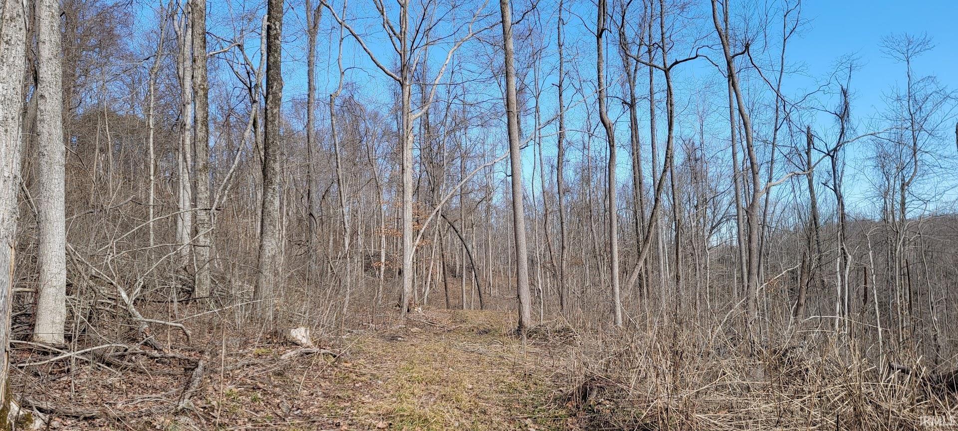 0 South Log Creek Road Paoli, IN 47454 - Photo 9 of 20 Gallery Image 9