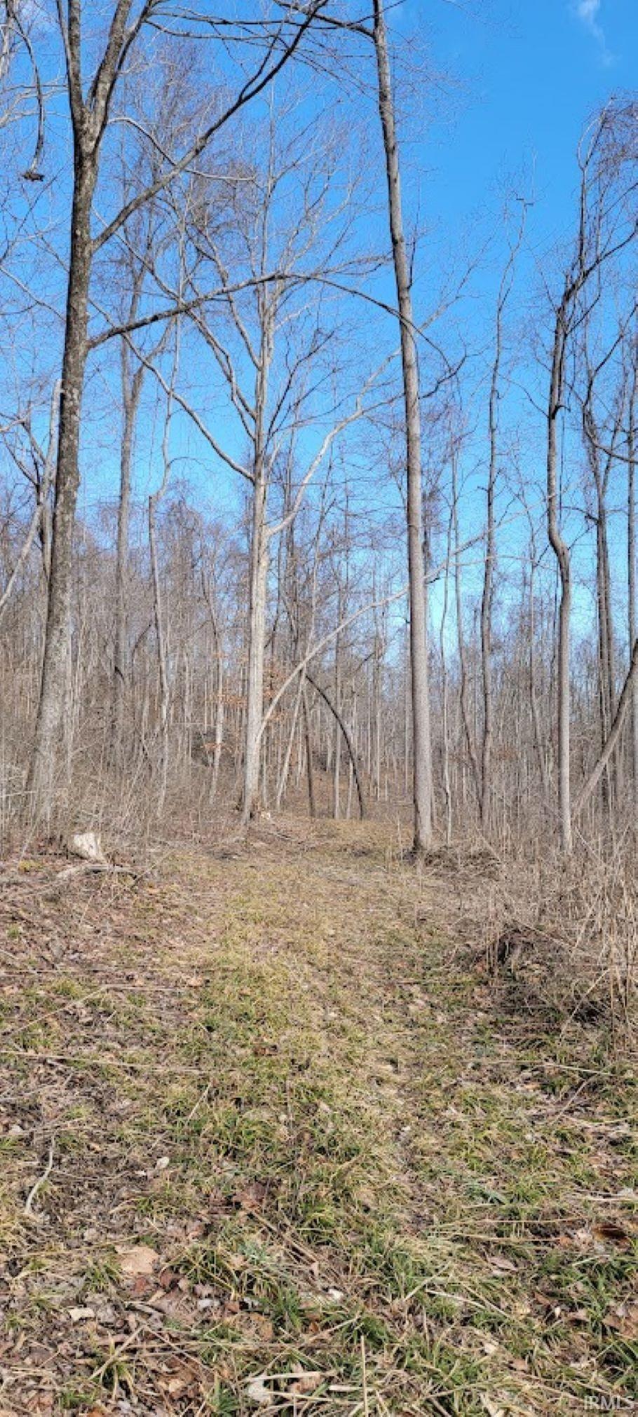 0 South Log Creek Road Paoli, IN 47454 - Photo 10 of 20 Gallery Image 10