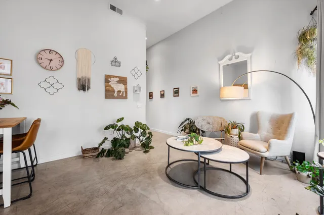 a living room with furniture and a potted plant