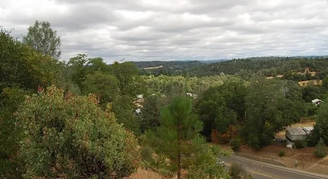 a view of a city with lush green forest