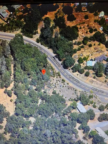 a view of a garden with flowers