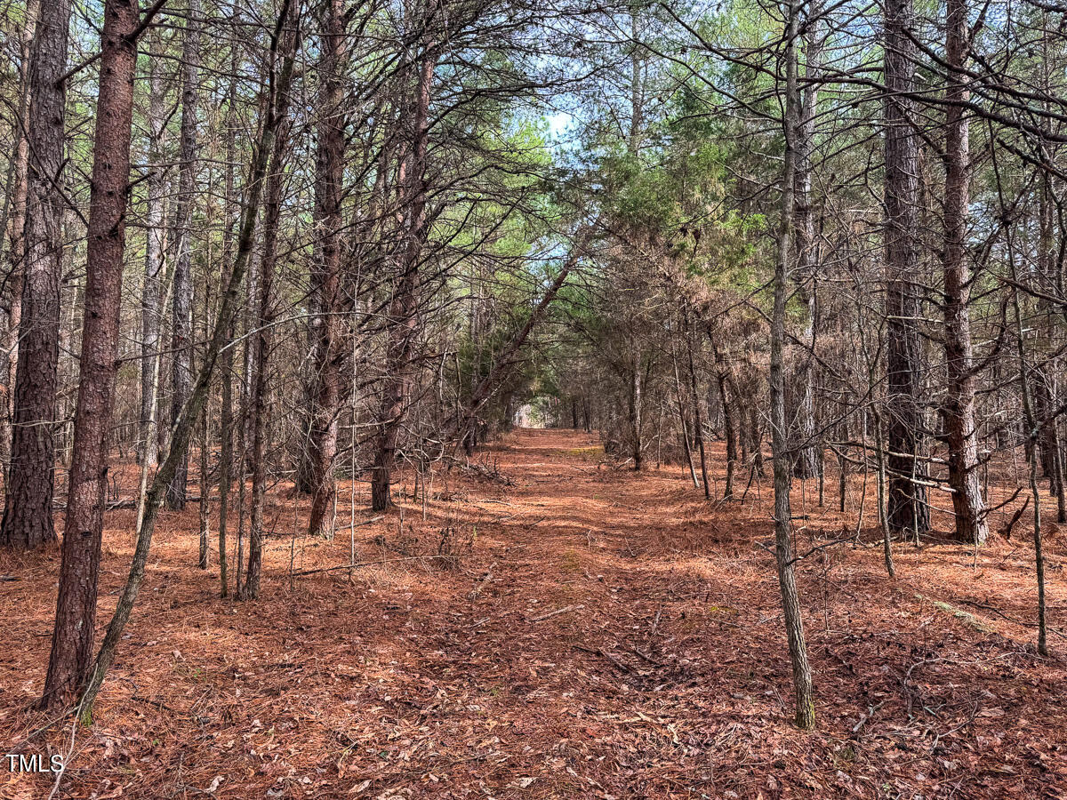 0 Southern High School Road Graham, NC 27253 - Photo 38 of 61 Alamance Co. NC 5.98-Backwoods-The Oaks-
