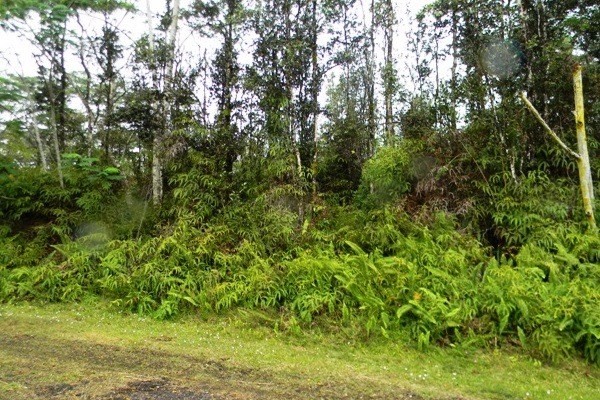 82 Ginger Road Pahoa, HI 96778 - Photo 5 of 5 Gallery Image 5