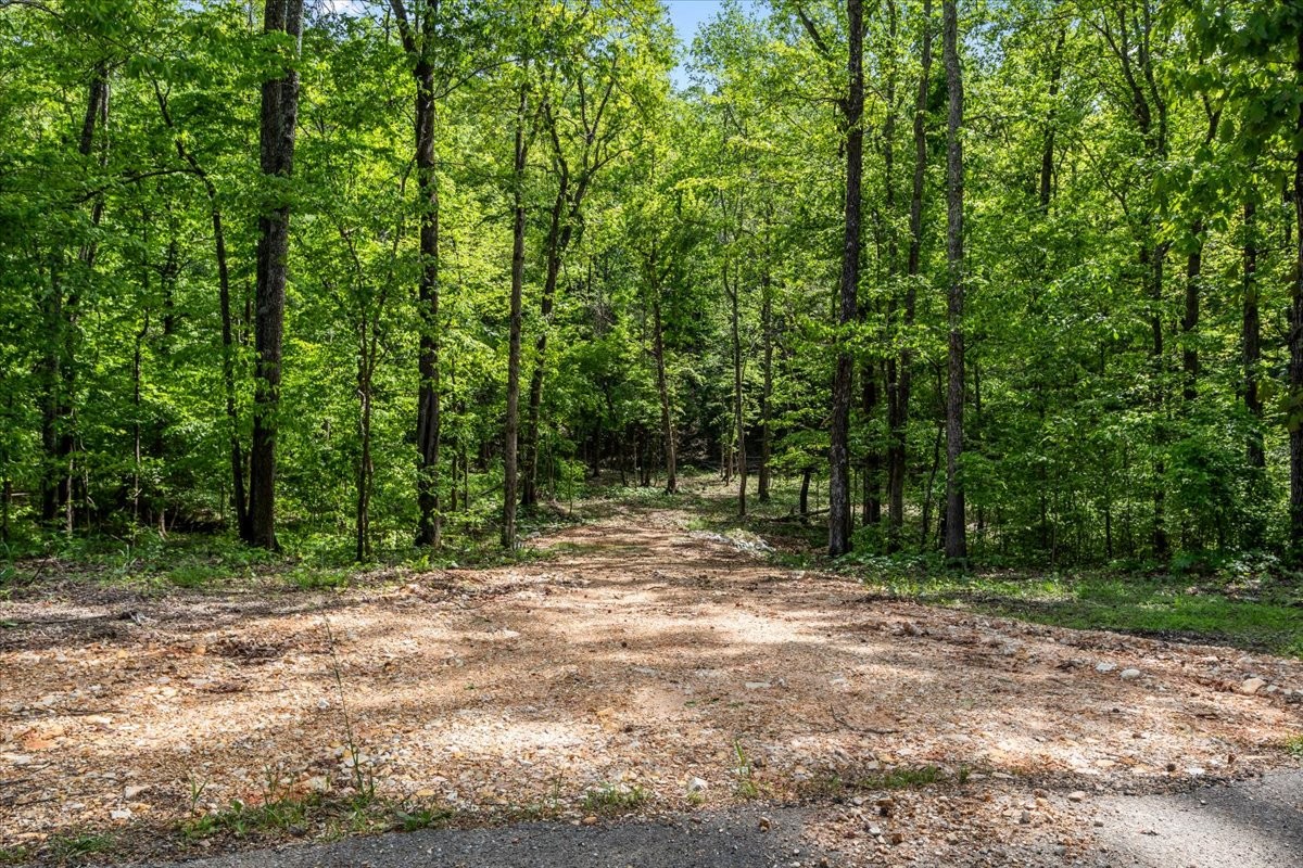 0 Rustling Oaks Drive Waverly, TN 37185 - Photo 1 of 22 a view of outdoor space with trees
