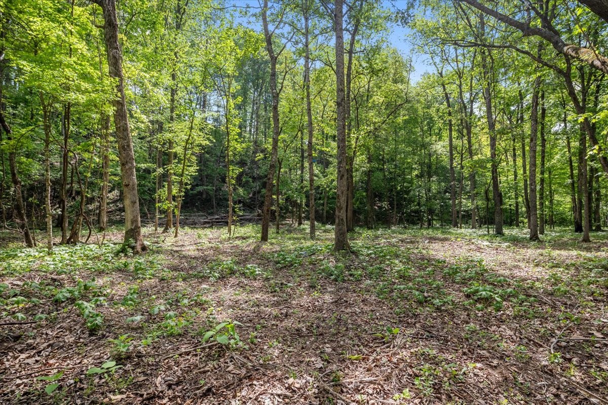 0 Rustling Oaks Drive Waverly, TN 37185 - Photo 2 of 22 a view of outdoor space and trees