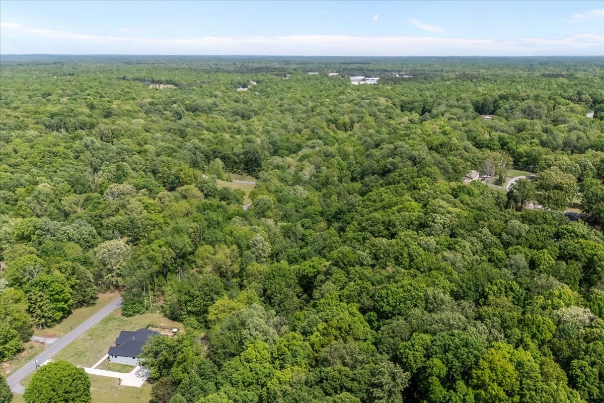 0 Rustling Oaks Drive Waverly, TN 37185 - Photo 4 of 22 an aerial view of residential houses with outdoor space and trees