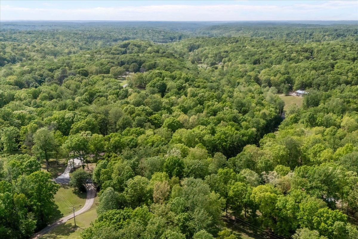 0 Rustling Oaks Drive Waverly, TN 37185 - Photo 6 of 22 a view of a green field with lots of bushes