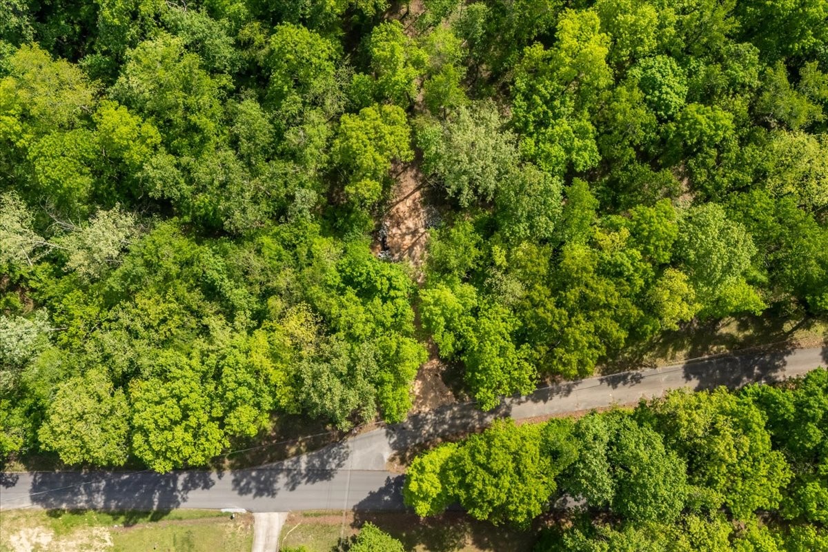 0 Rustling Oaks Drive Waverly, TN 37185 - Photo 8 of 22 a view of a garden