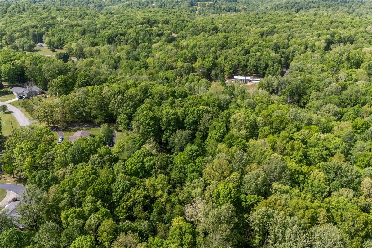 0 Rustling Oaks Drive Waverly, TN 37185 - Photo 9 of 22 a view of a lush green forest