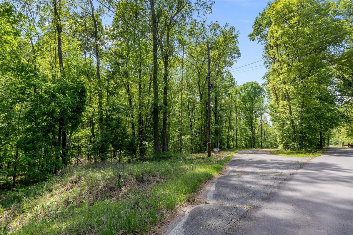 0 Rustling Oaks Drive Waverly, TN 37185 - Photo 10 of 22 a backyard of a house with lots of green space