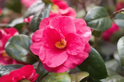 a view of a bedroom with a bed and a floor