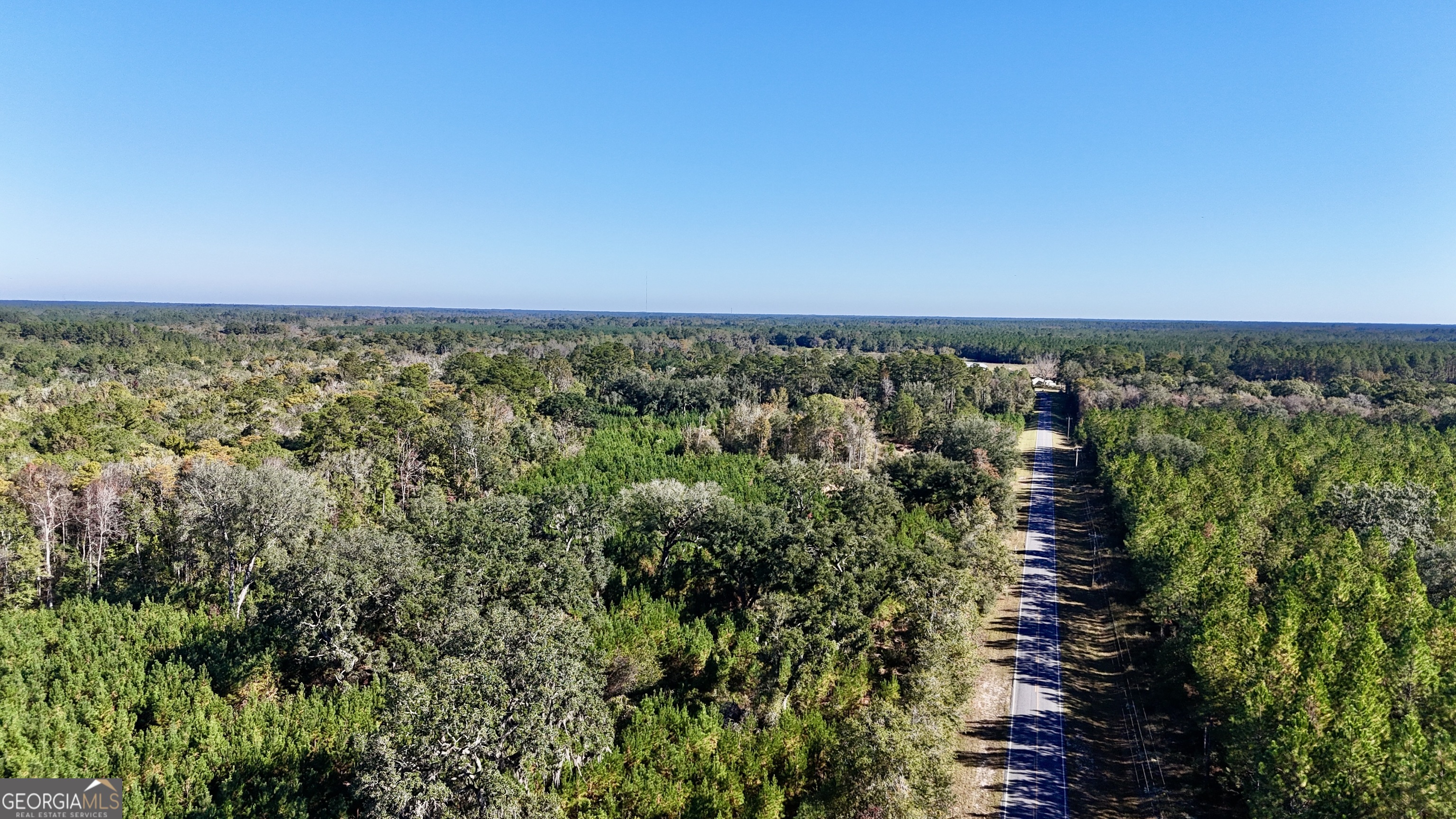 0 Bachlott Church Road Nahunta, GA 31553 - Photo 2 of 10 a view of a garden