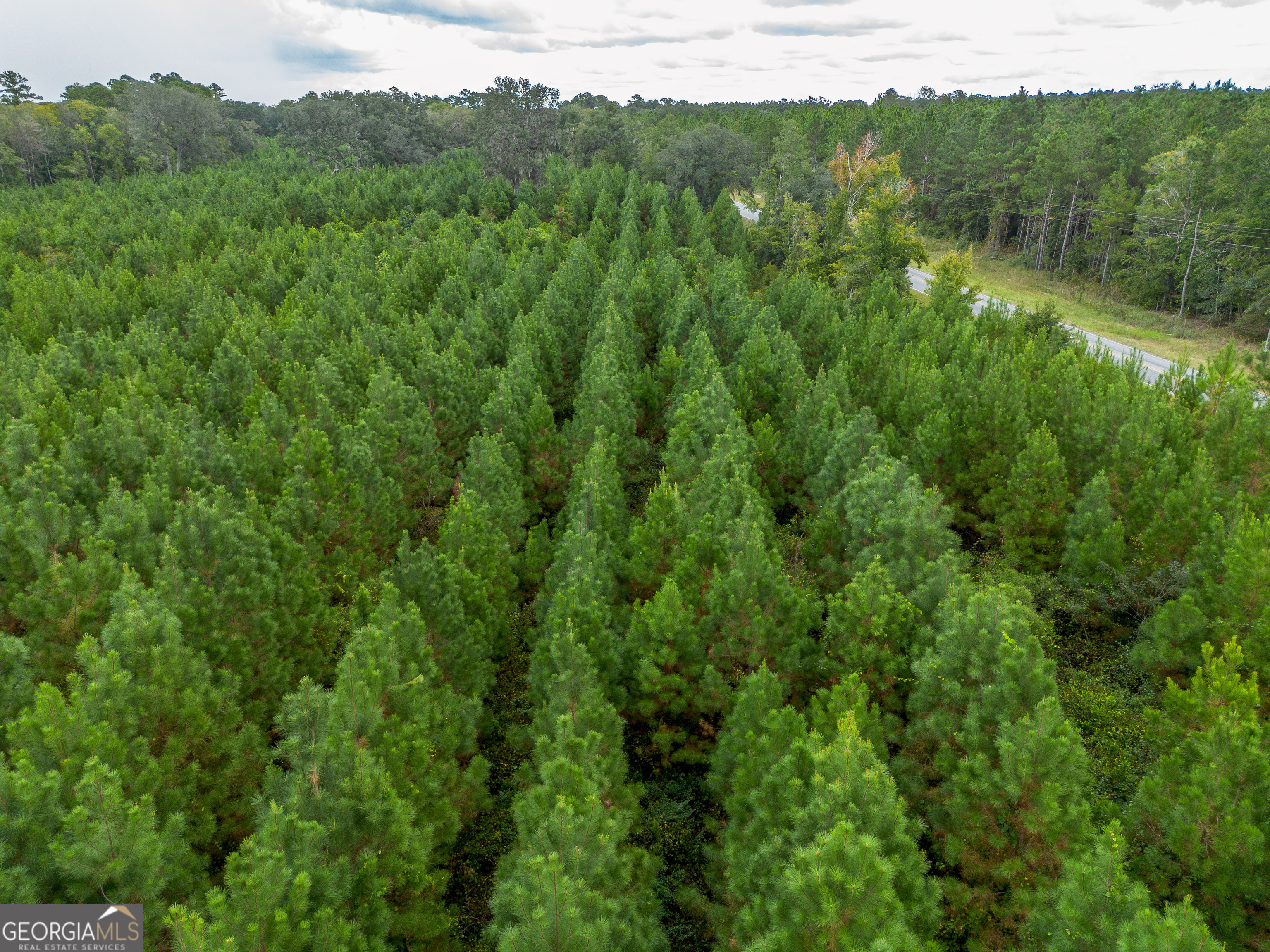 0 Bachlott Church Road Nahunta, GA 31553 - Photo 6 of 10 a view of a lush green forest with trees in the background