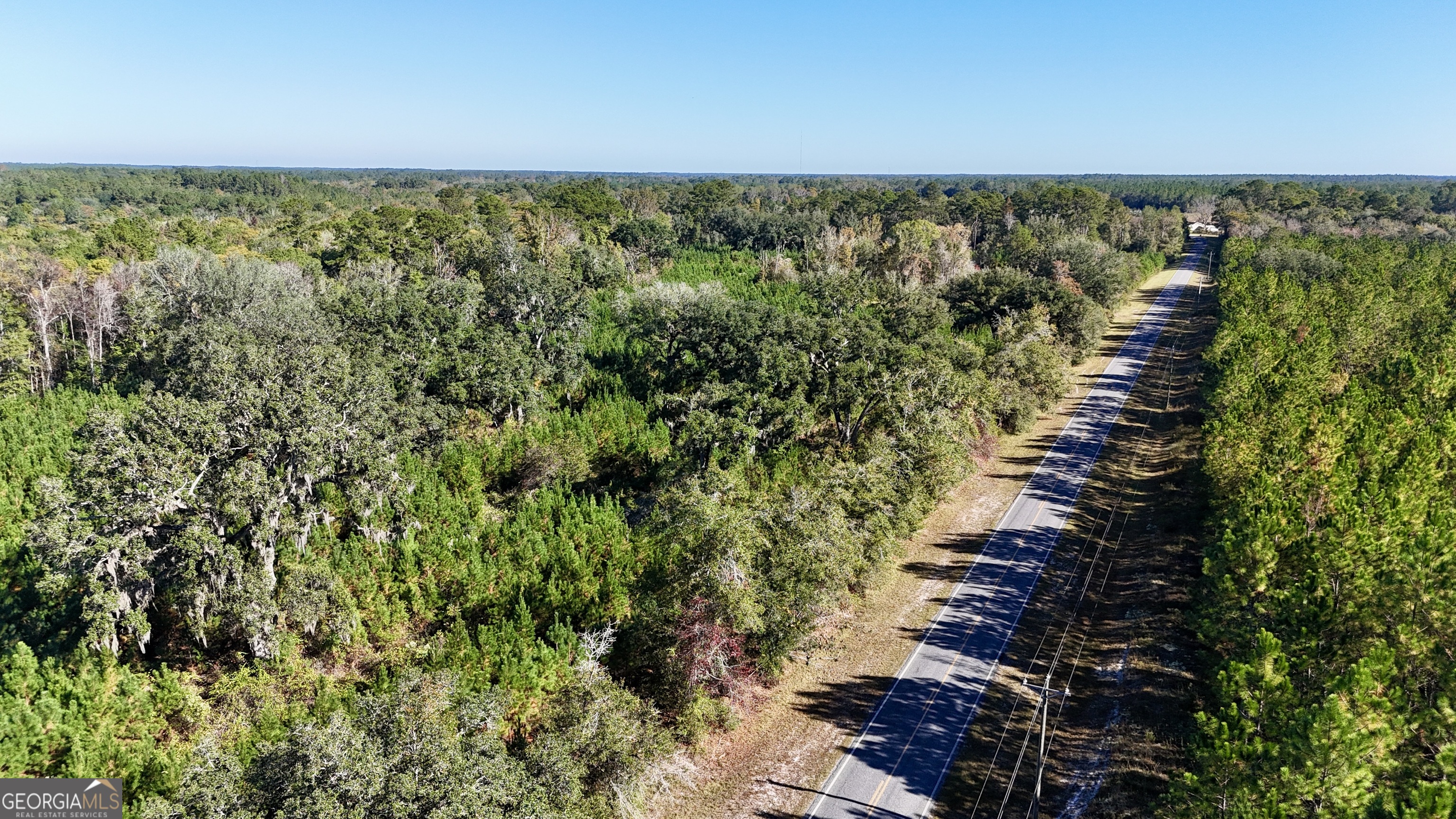0 Bachlott Church Road Nahunta, GA 31553 - Photo 8 of 10 a view of an outdoor space and a lake view