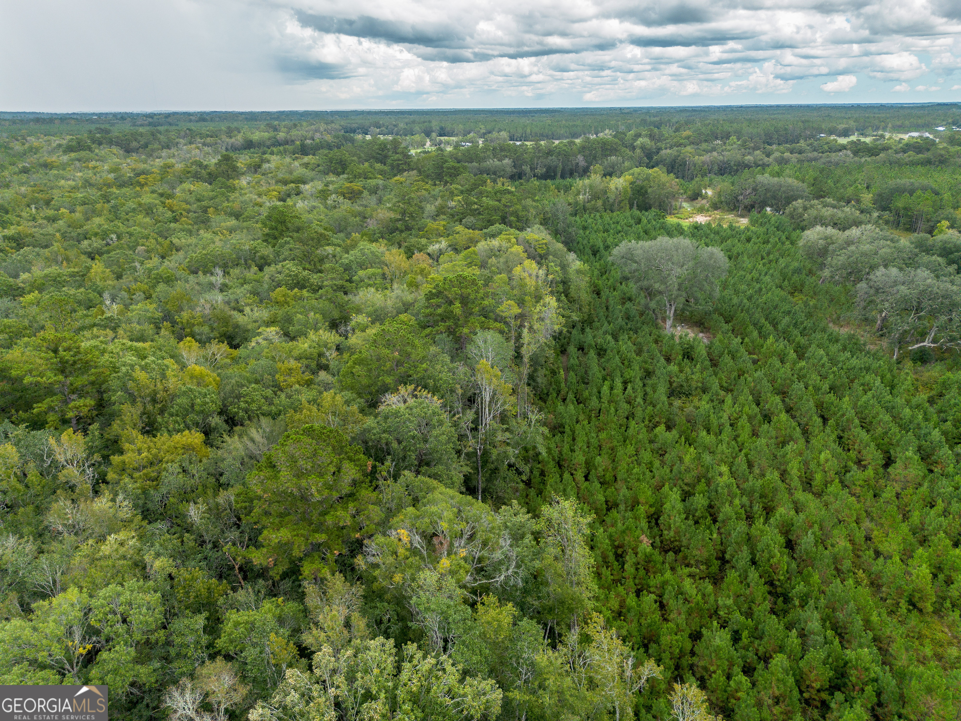 0 Bachlott Church Road Nahunta, GA 31553 - Photo 9 of 10 a view of a field of grass and trees