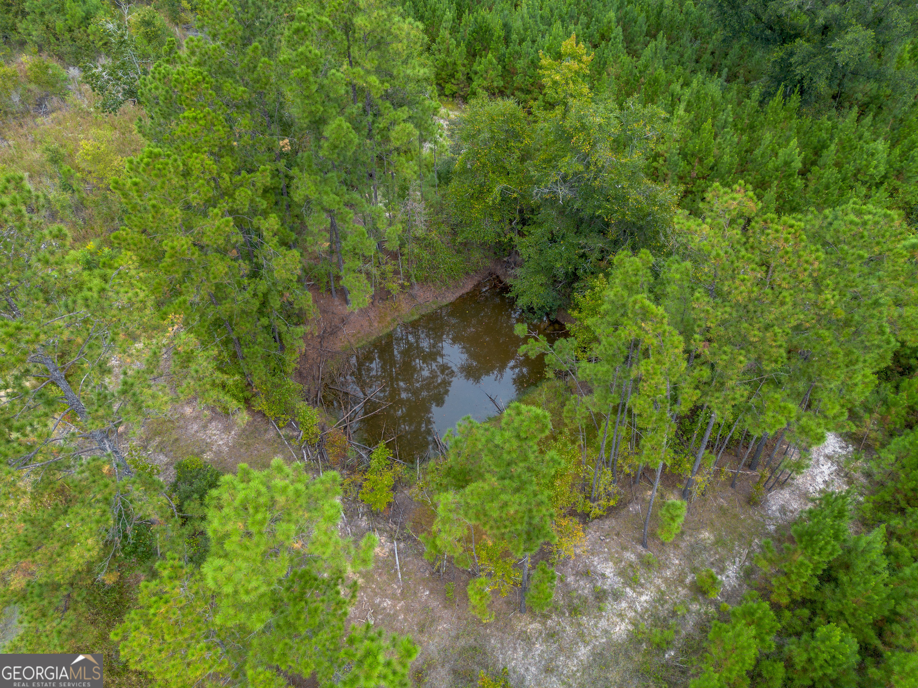 0 Bachlott Church Road Nahunta, GA 31553 - Photo 10 of 10 a backyard of a house with lots of trees