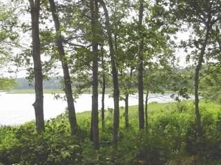 Undisclosed Address Centerville, MA 02632 - Photo 1 of 4 a view of yard