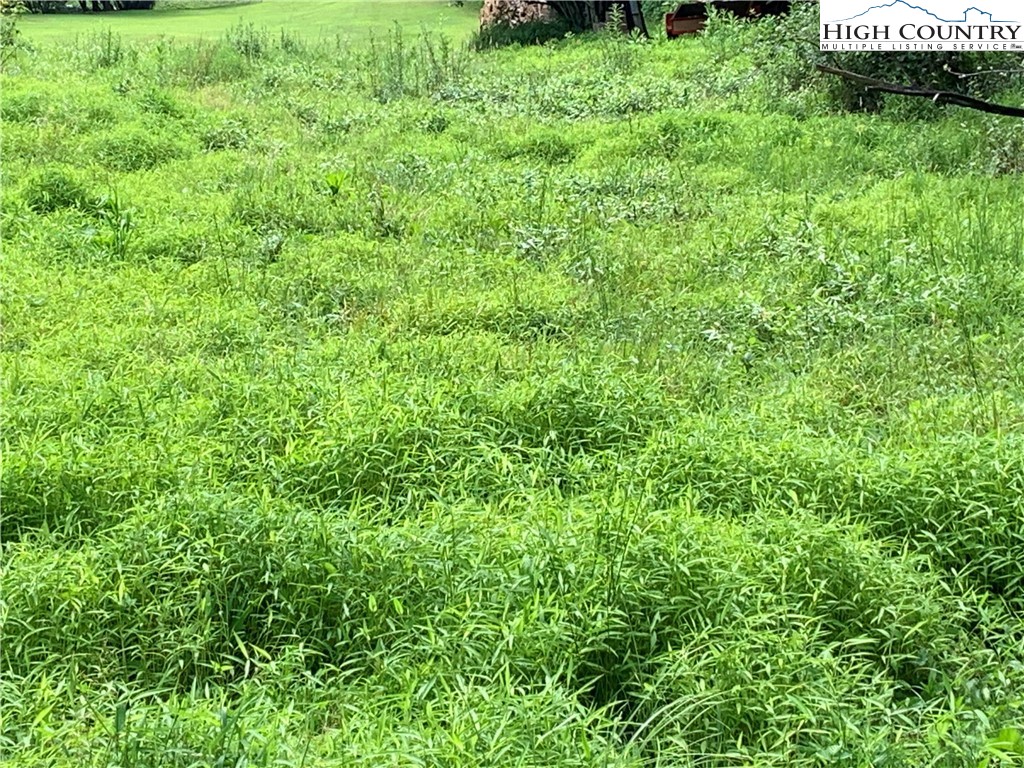 Lot 32 Waterstone Drive Boone, NC 28607 - Photo 11 of 37