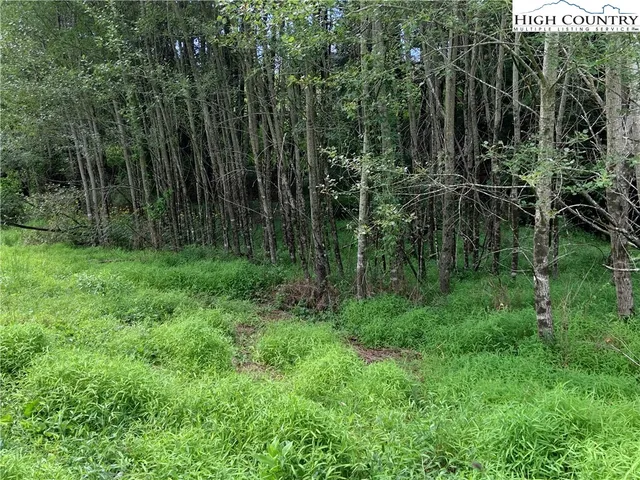 $39,000 | Lot 32 Waterstone Drive, Boone, NC 28607