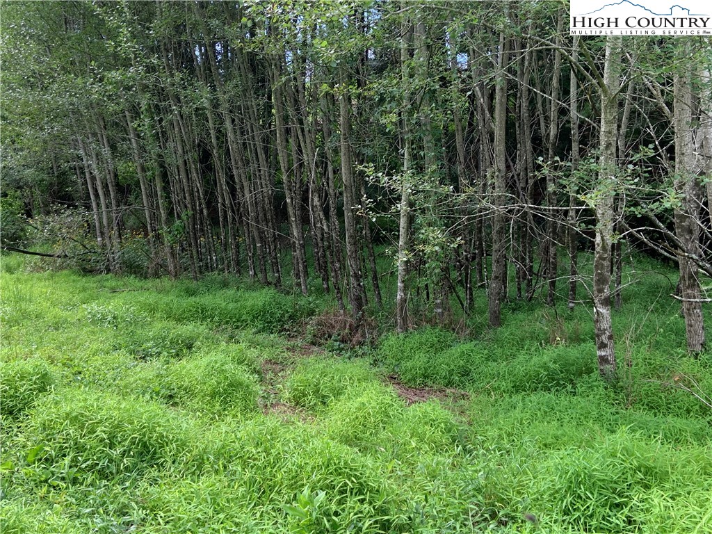 Lot 32 Waterstone Drive Boone, NC 28607 - Photo 12 of 37