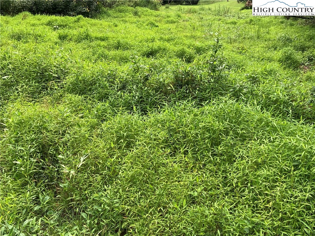 Lot 32 Waterstone Drive Boone, NC 28607 - Photo 13 of 37