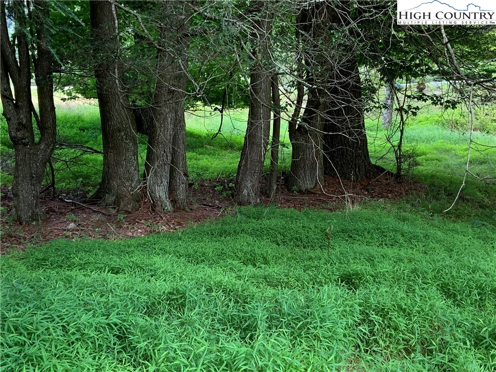 Lot 32 Waterstone Drive Boone, NC 28607 - Photo 15 of 37