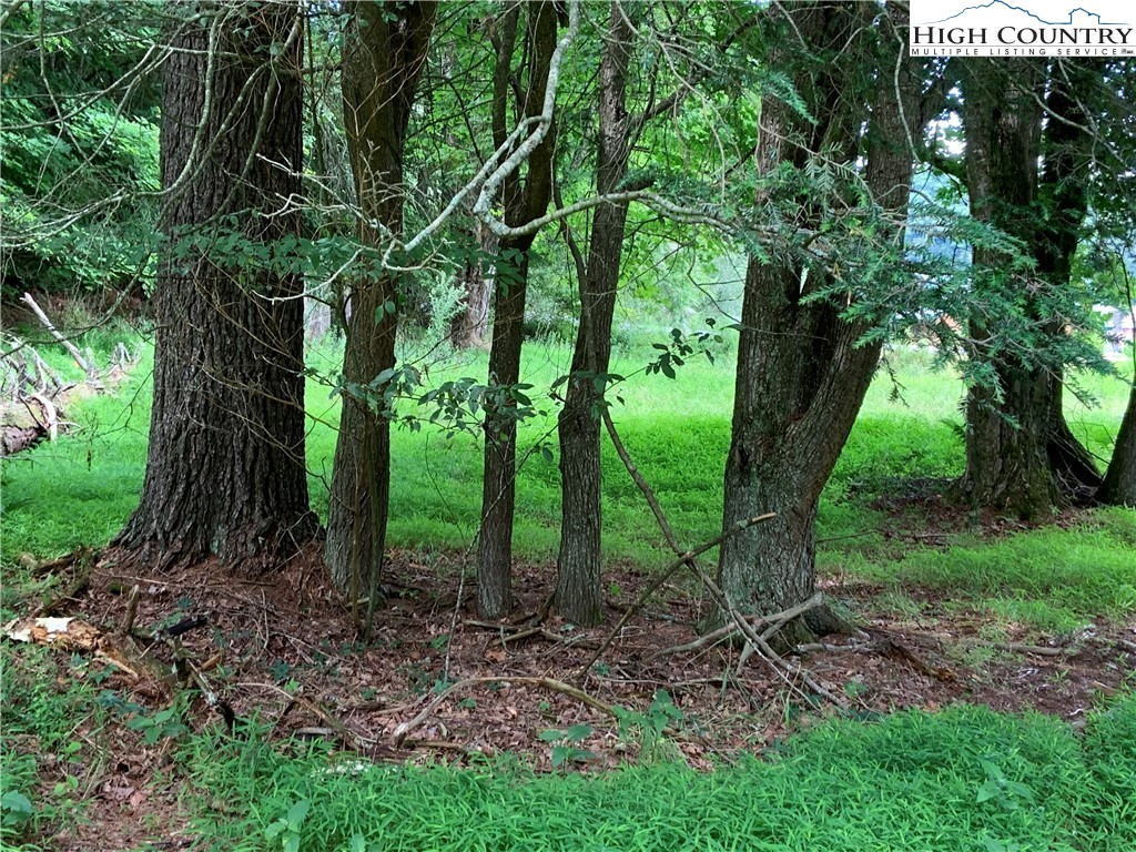 Lot 32 Waterstone Drive Boone, NC 28607 - Photo 16 of 37