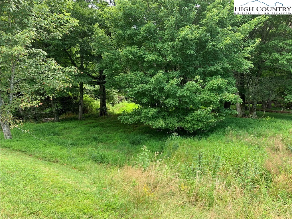 Lot 32 Waterstone Drive Boone, NC 28607 - Photo 2 of 37