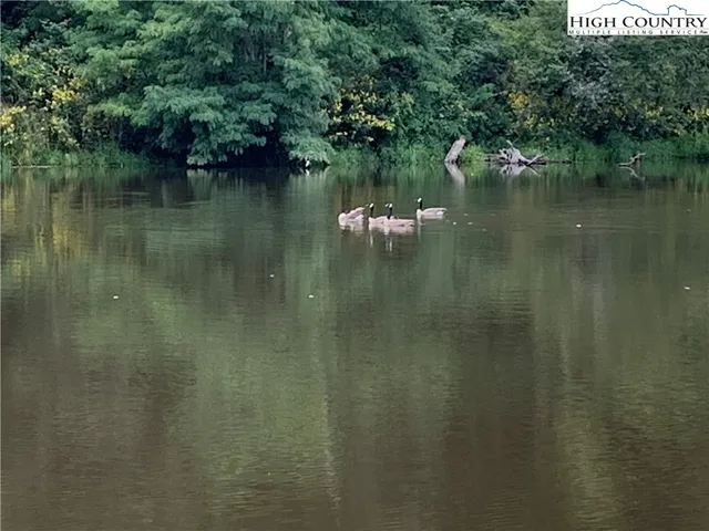 $39,000 | Lot 32 Waterstone Drive, Boone, NC 28607