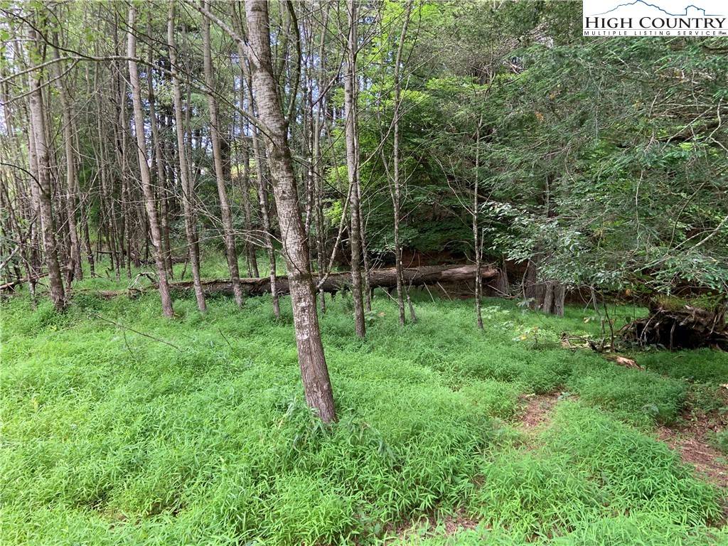 Lot 32 Waterstone Drive Boone, NC 28607 - Photo 5 of 37