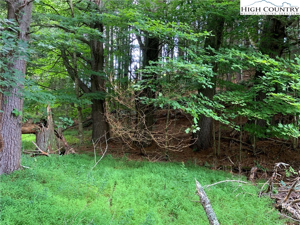 Lot 32 Waterstone Drive Boone, NC 28607 - Photo 7 of 37