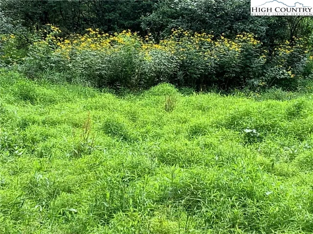 $39,000 | Lot 32 Waterstone Drive, Boone, NC 28607